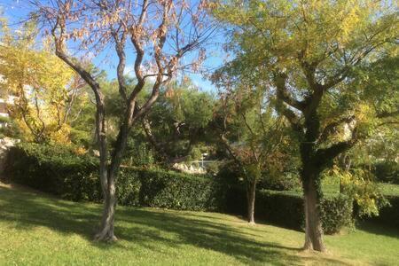 Cassis 4Pers Vue Mer Wifi Tennis Parking Piscine Eksteriør billede